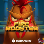 How to Win in “Fire Rooster” Online Slot by Habanero