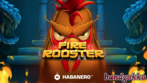 Fire Rooster